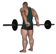 Wrist Curl - Standing Bar Behind Close Grip